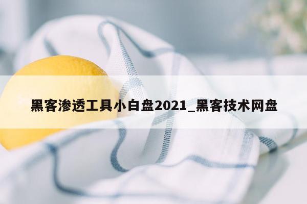 黑客渗透工具小白盘2021_黑客技术网盘