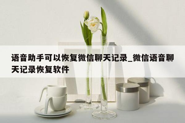 语音助手可以恢复微信聊天记录_微信语音聊天记录恢复软件