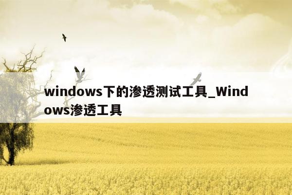 windows下的渗透测试工具_Windows渗透工具