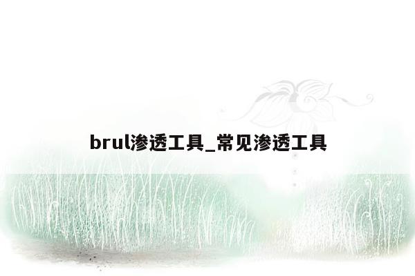 brul渗透工具_常见渗透工具