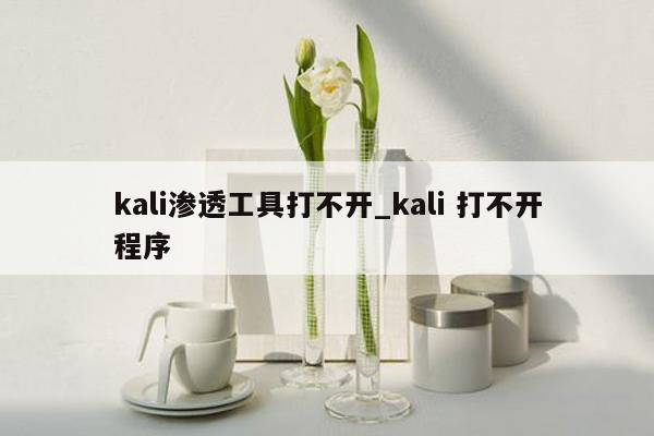 kali渗透工具打不开_kali 打不开程序