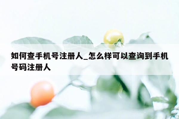 如何查手机号注册人_怎么样可以查询到手机号码注册人