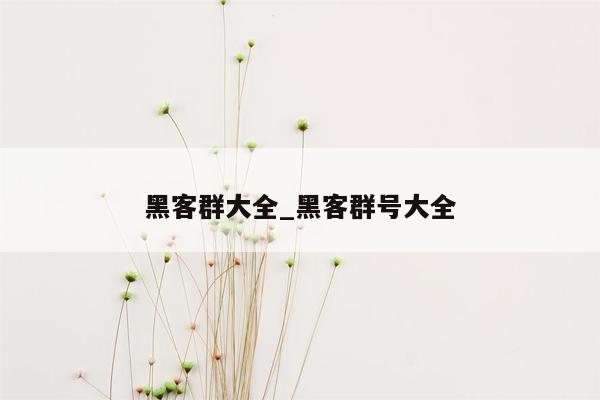 黑客群大全_黑客群号大全