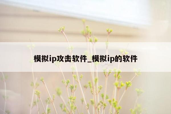 模拟ip攻击软件_模拟ip的软件