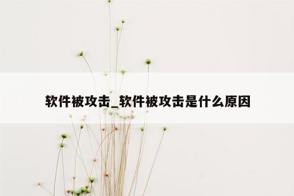 软件被攻击_软件被攻击是什么原因