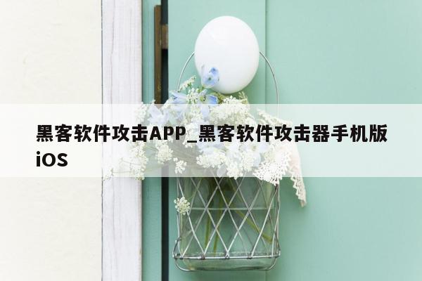 黑客软件攻击APP_黑客软件攻击器手机版iOS