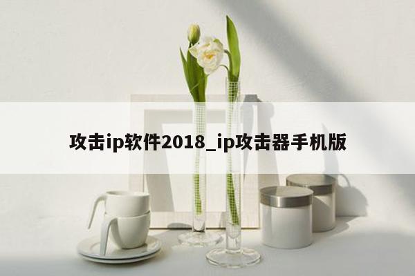 攻击ip软件2018_ip攻击器手机版