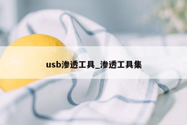 usb渗透工具_渗透工具集