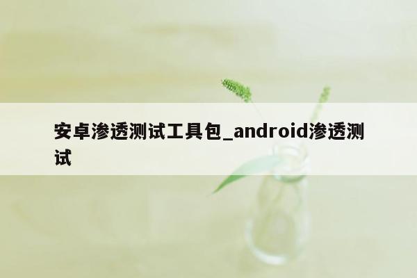 安卓渗透测试工具包_android渗透测试