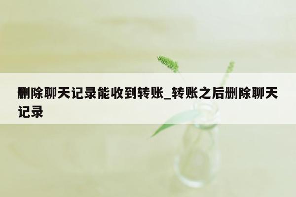 删除聊天记录能收到转账_转账之后删除聊天记录