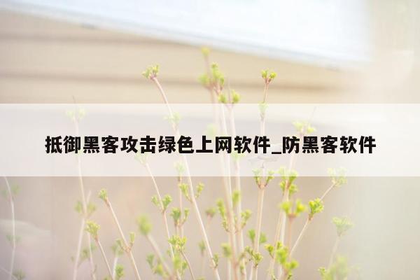 抵御黑客攻击绿色上网软件_防黑客软件