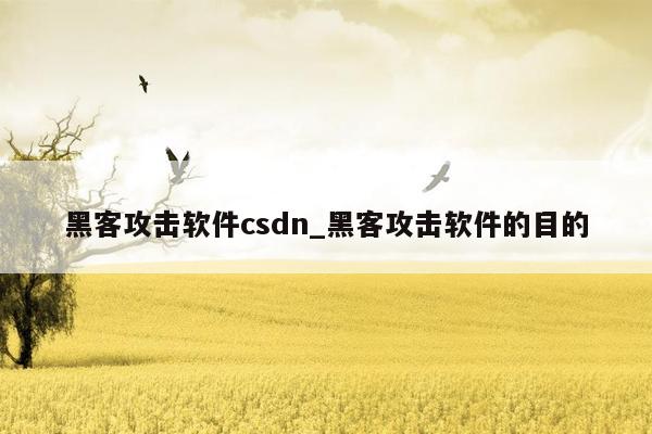 黑客攻击软件csdn_黑客攻击软件的目的