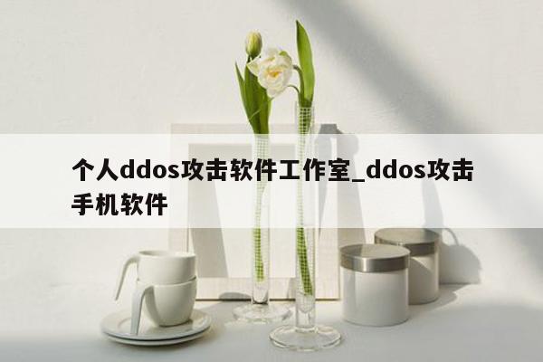 个人ddos攻击软件工作室_ddos攻击手机软件