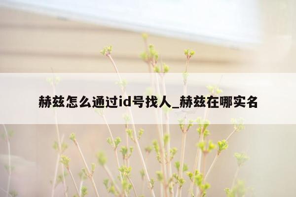 赫兹怎么通过id号找人_赫兹在哪实名