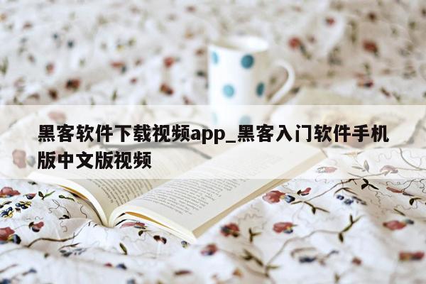 黑客软件下载视频app_黑客入门软件手机版中文版视频