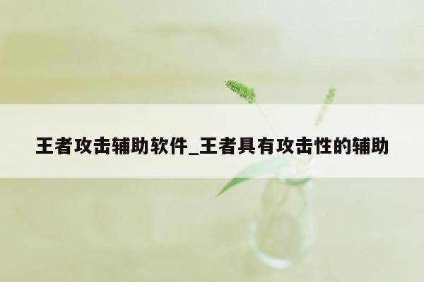 王者攻击辅助软件_王者具有攻击性的辅助