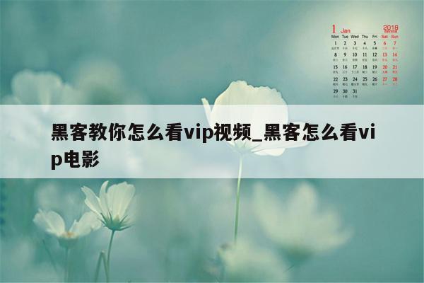 黑客教你怎么看vip视频_黑客怎么看vip电影