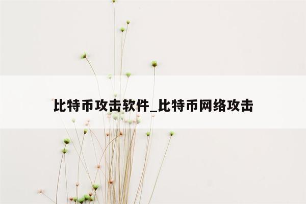 比特币攻击软件_比特币网络攻击