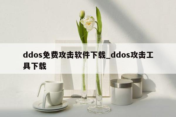 ddos免费攻击软件下载_ddos攻击工具下载