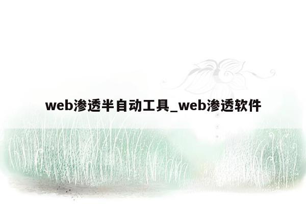 web渗透半自动工具_web渗透软件