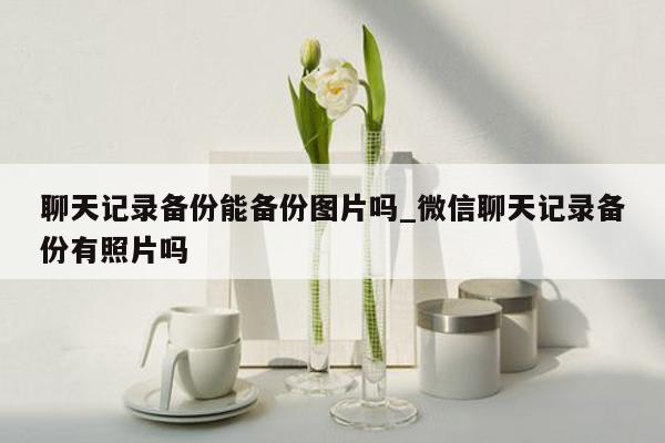 聊天记录备份能备份图片吗_微信聊天记录备份有照片吗