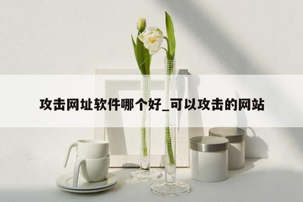 攻击网址软件哪个好_可以攻击的网站