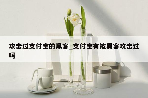 攻击过支付宝的黑客_支付宝有被黑客攻击过吗