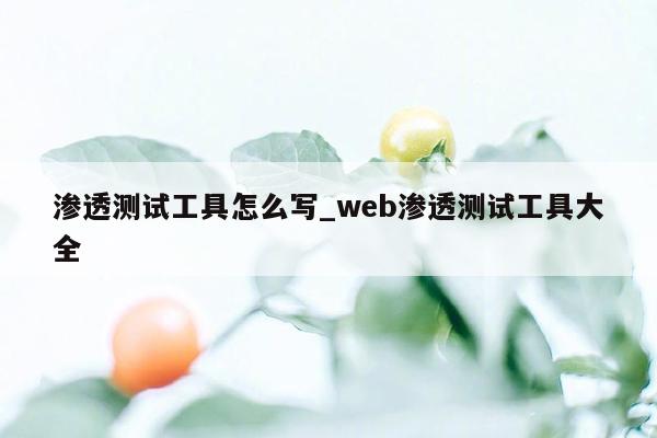 渗透测试工具怎么写_web渗透测试工具大全