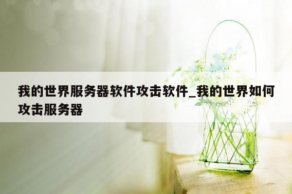 我的世界服务器软件攻击软件_我的世界如何攻击服务器