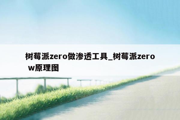 树莓派zero做渗透工具_树莓派zero w原理图