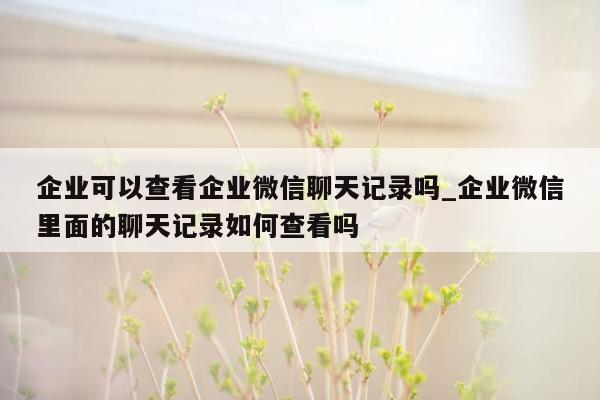 企业可以查看企业微信聊天记录吗_企业微信里面的聊天记录如何查看吗