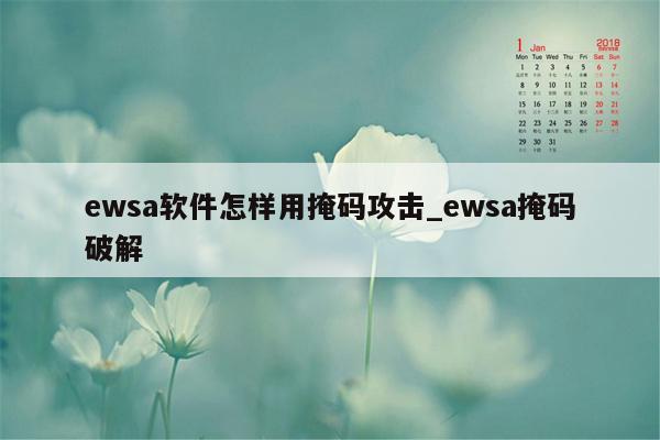 ewsa软件怎样用掩码攻击_ewsa掩码破解