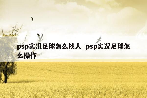 psp实况足球怎么找人_psp实况足球怎么操作