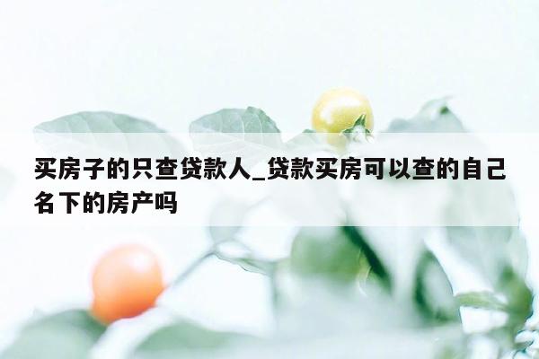 买房子的只查贷款人_贷款买房可以查的自己名下的房产吗