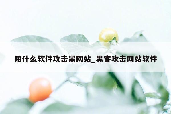 用什么软件攻击黑网站_黑客攻击网站软件