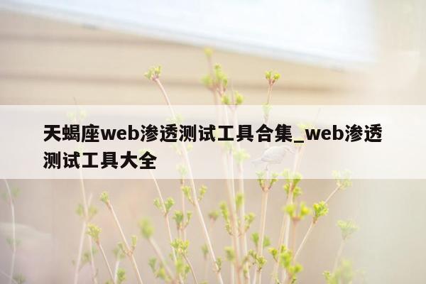 天蝎座web渗透测试工具合集_web渗透测试工具大全