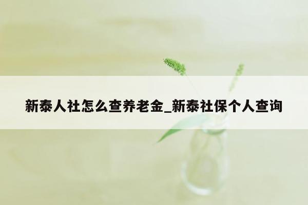 新泰人社怎么查养老金_新泰社保个人查询