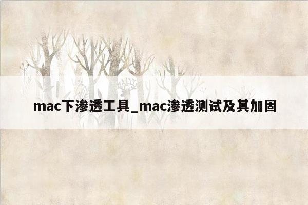 mac下渗透工具_mac渗透测试及其加固