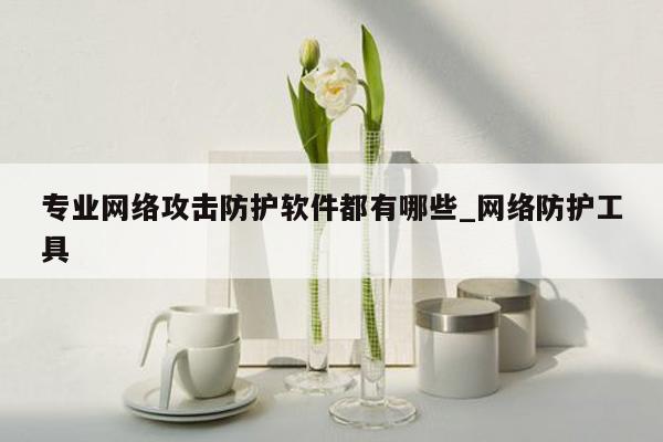 专业网络攻击防护软件都有哪些_网络防护工具