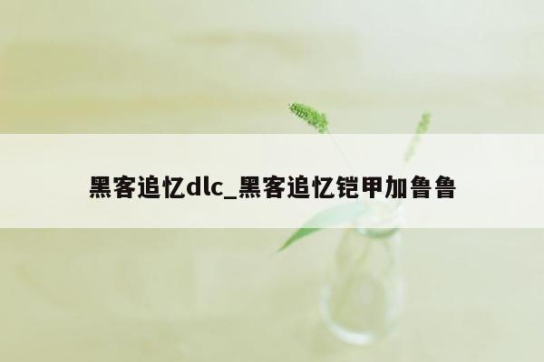 黑客追忆dlc_黑客追忆铠甲加鲁鲁