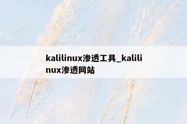 kalilinux渗透工具_kalilinux渗透网站