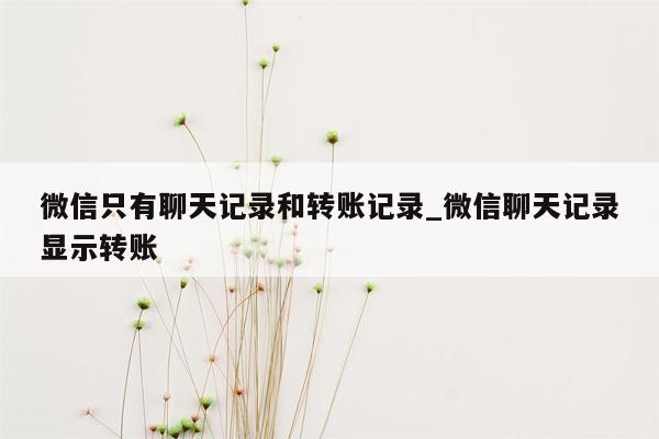 微信只有聊天记录和转账记录_微信聊天记录显示转账