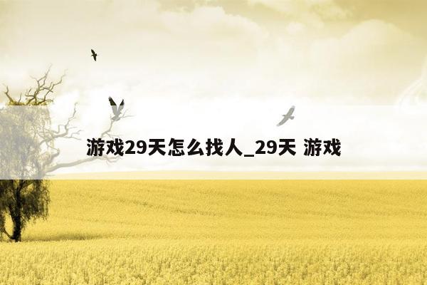 游戏29天怎么找人_29天 游戏