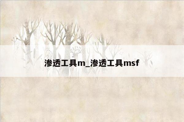 渗透工具m_渗透工具msf