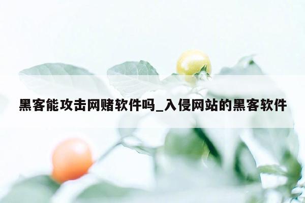 黑客能攻击网赌软件吗_入侵网站的黑客软件