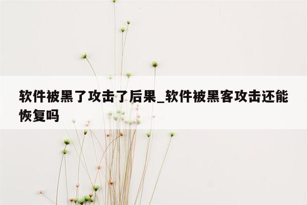 软件被黑了攻击了后果_软件被黑客攻击还能恢复吗