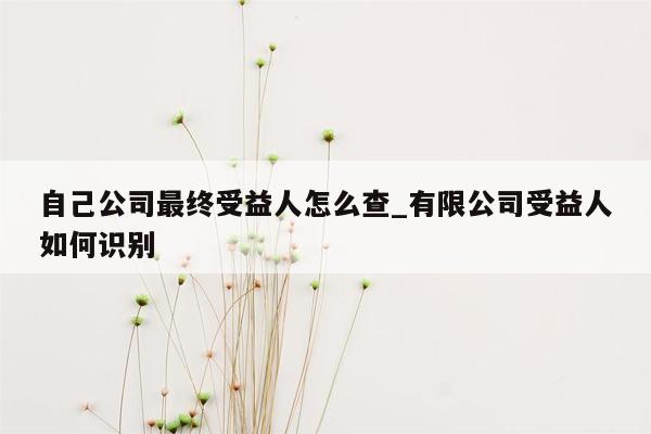 自己公司最终受益人怎么查_有限公司受益人如何识别