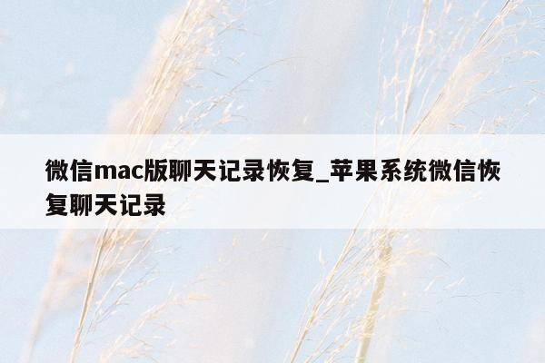 微信mac版聊天记录恢复_苹果系统微信恢复聊天记录