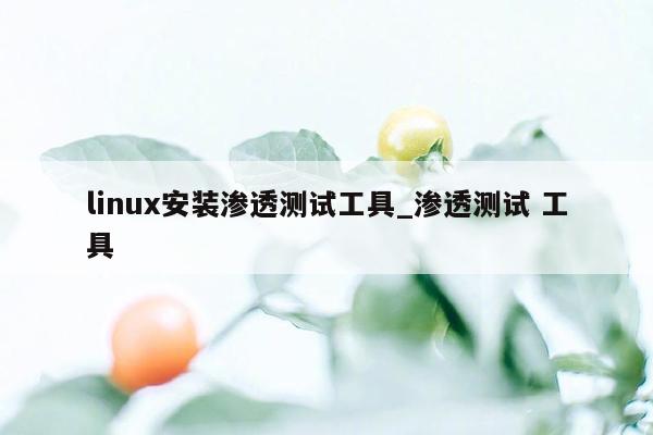 linux安装渗透测试工具_渗透测试 工具