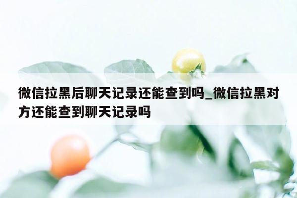 微信拉黑后聊天记录还能查到吗_微信拉黑对方还能查到聊天记录吗